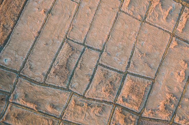 Stamped Concrete 2